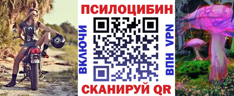 Галлюциногенные грибы Psilocybine cubensis  Купить закладки  Мещовск 