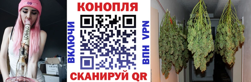 Купить  Мещовск  Марихуана планчик 